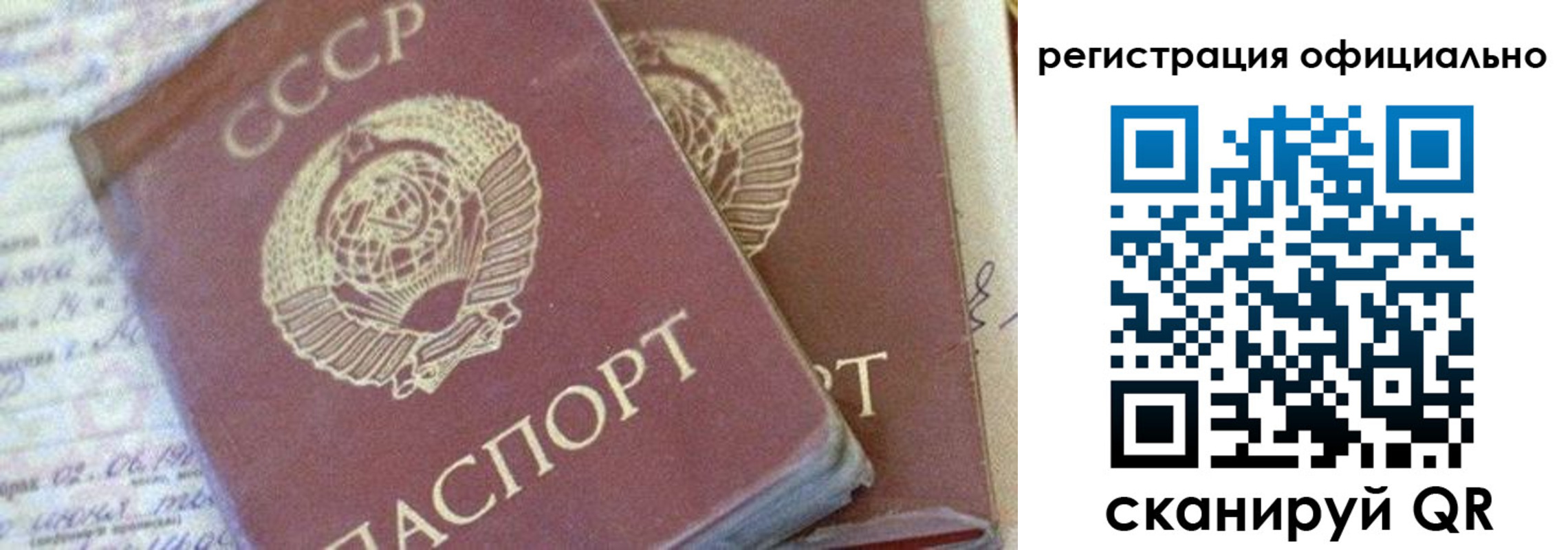 регистрация для школы в Петропавловске-Камчатском